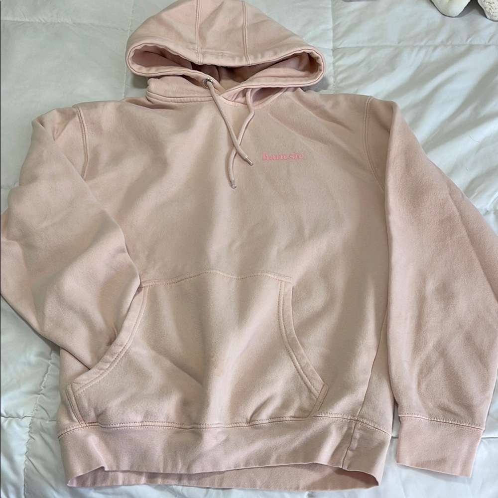 Champion Pink Hoodie